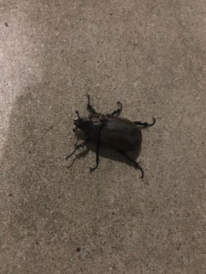 image1_5.jpeg